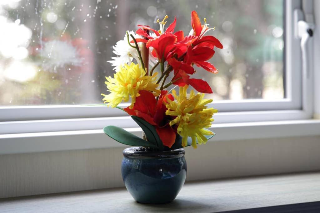 Edinburgh - Seton Sands-Cameo Caravan-Pet Friendly ภายนอก รูปภาพ